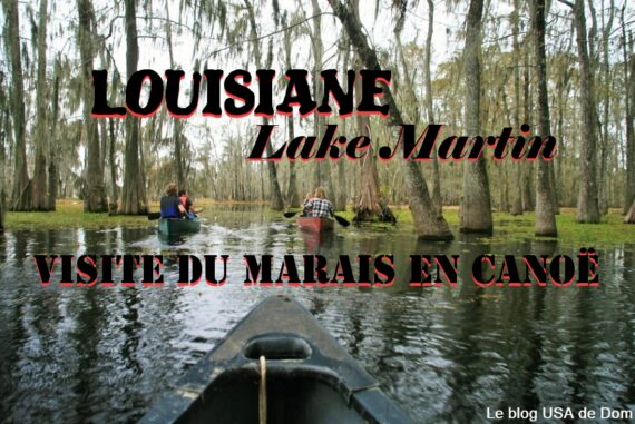Louisiane Lake Martin