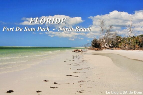 Fort de Soto North Beach FLORIDE