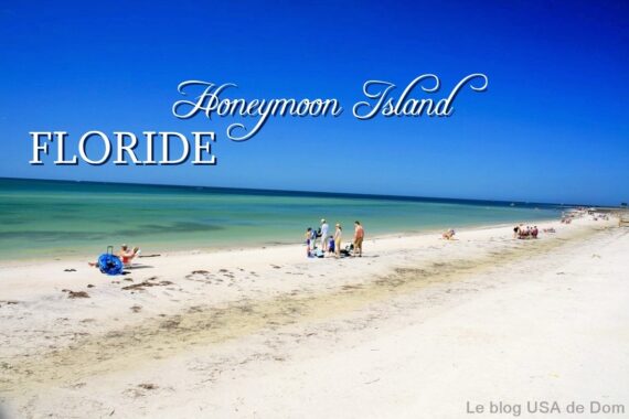 Honeymoon Island FLORIDE