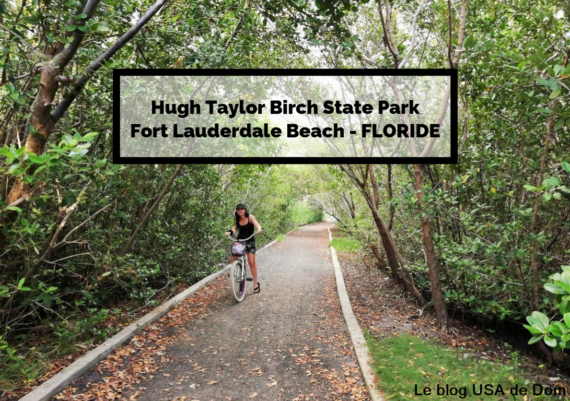Hugh Taylor Birch State Park