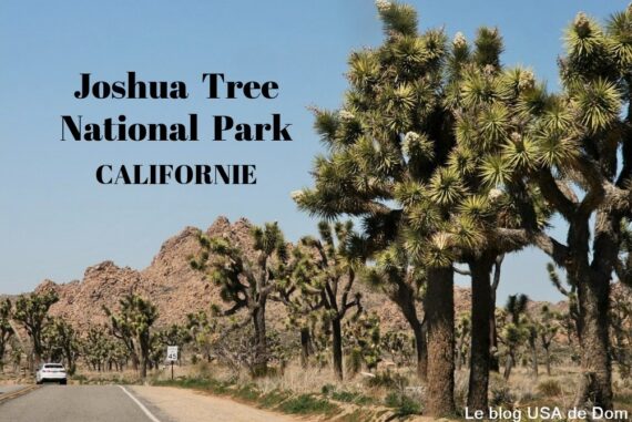 JOSHUA TREE NATIONAL PARK (2)