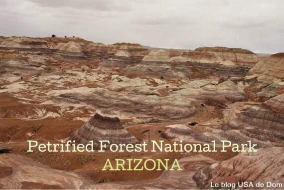 PETRIFIED FOREST NATIONAL PARK ARIZONA