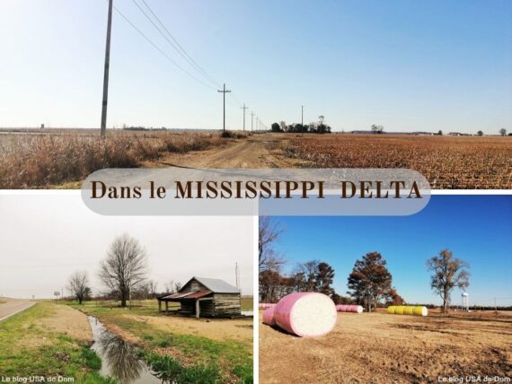 Dans le MISSISSIPPI DELTA