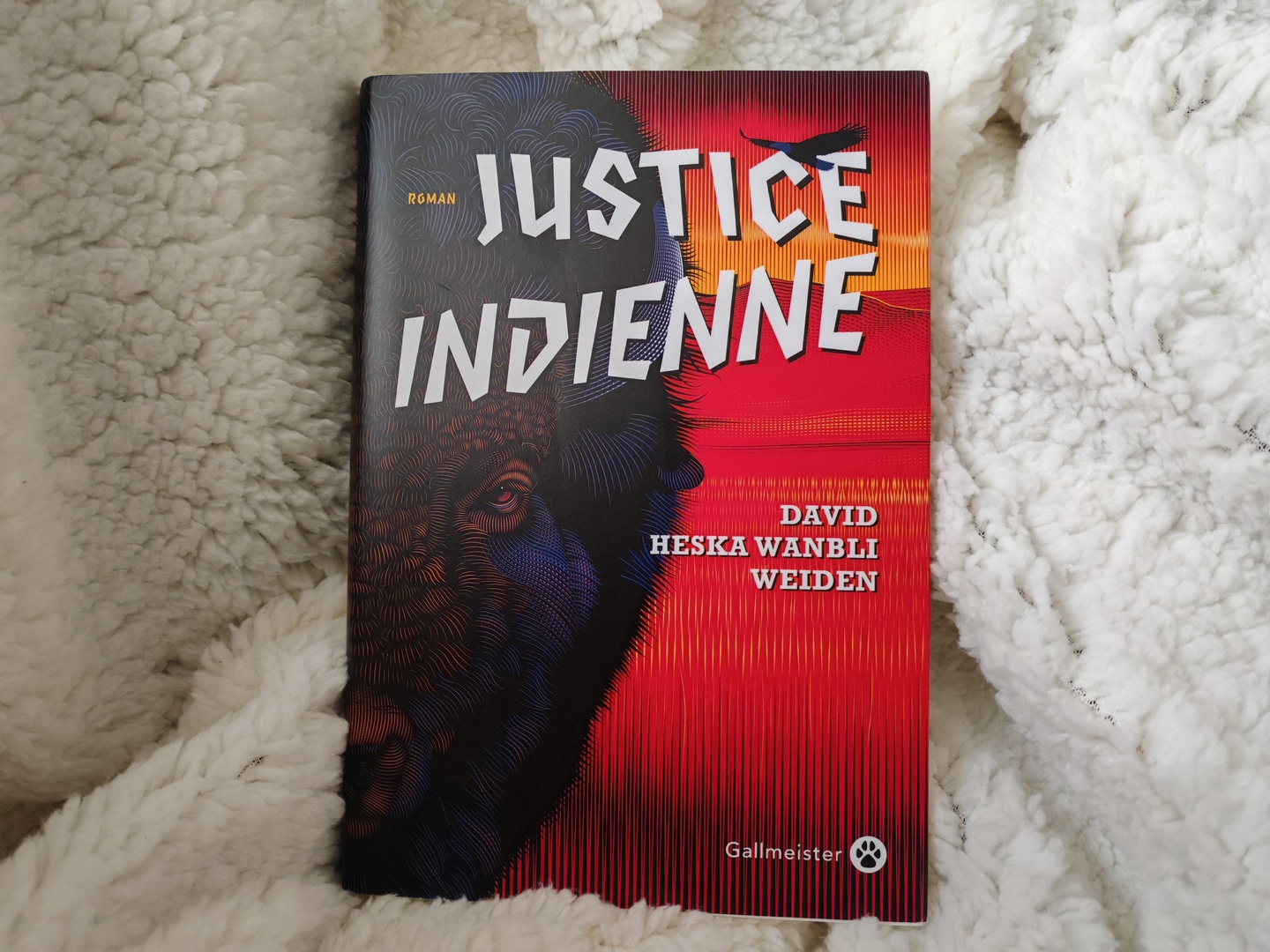David Heska Wanbli Weiden JUSTICE INDIENNE